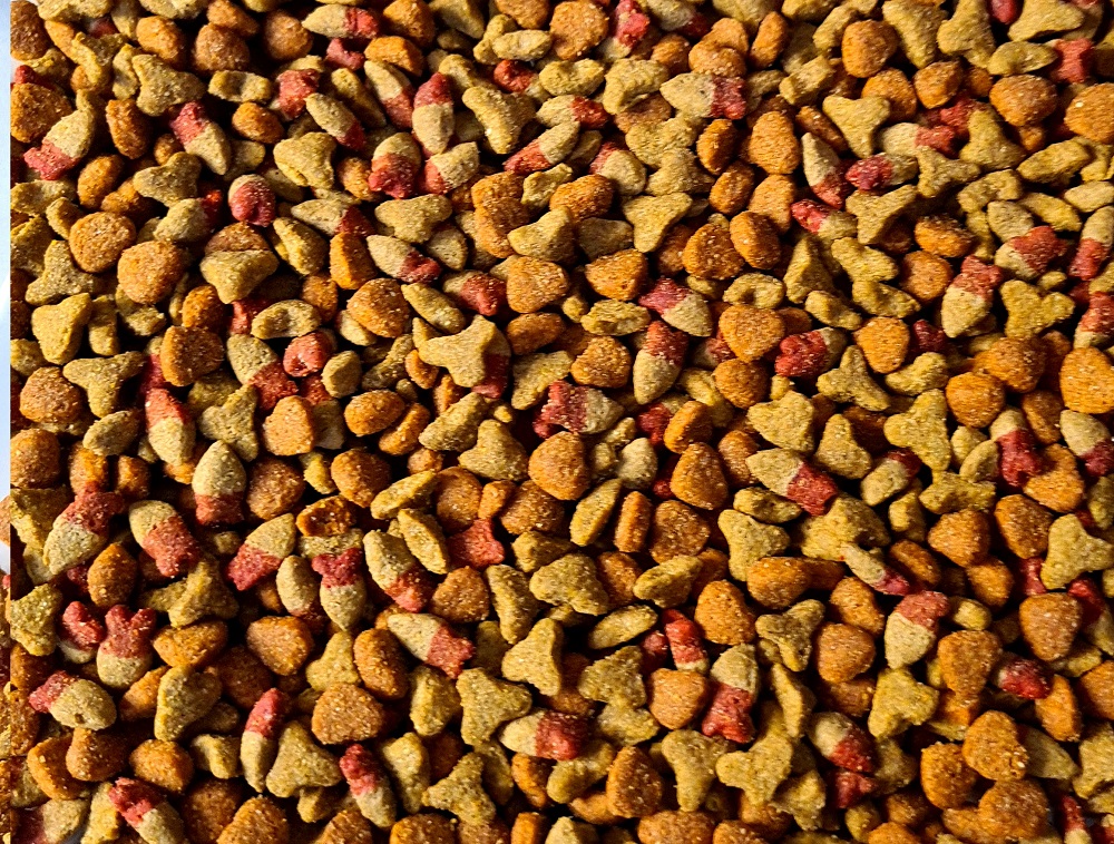 Alimento Gatos