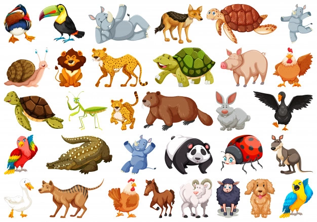 Otros Animales
